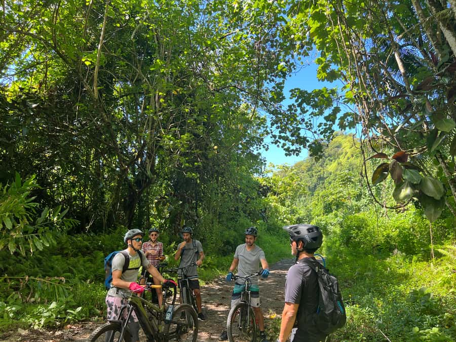 Tahiti E-bike, mtb, vtt Tour with Swimming and Lunch - Climbing Through Titaaviri’s Birdlife