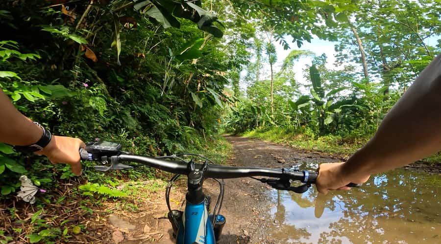 Tahiti E-bike, mtb, vtt Tour with Swimming and Lunch - Lunch in the Valley, Then the Cold King’s Basin