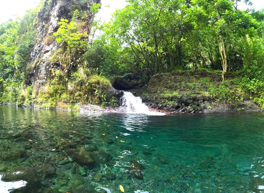 Tahiti E-bike, mtb, vtt Tour with Swimming and Lunch - Getting Comfortable on the E-Mountain Bike