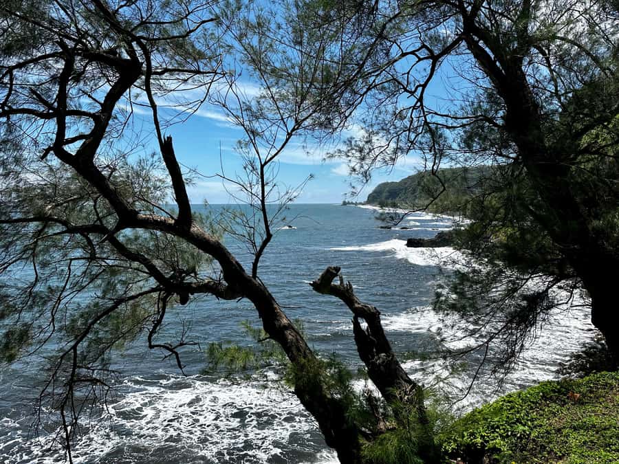 Tahiti: East or West coast tour (Half Day) - Key details before you choose your coast