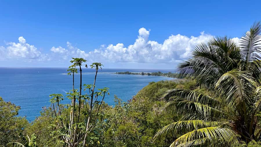 Tahiti: East or West coast tour (Half Day) - Choosing between Tahiti’s east and west coasts
