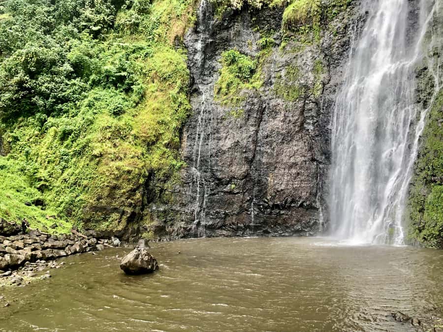 Tahiti: East or West coast tour (Half Day) - The guide can shape the whole four hours