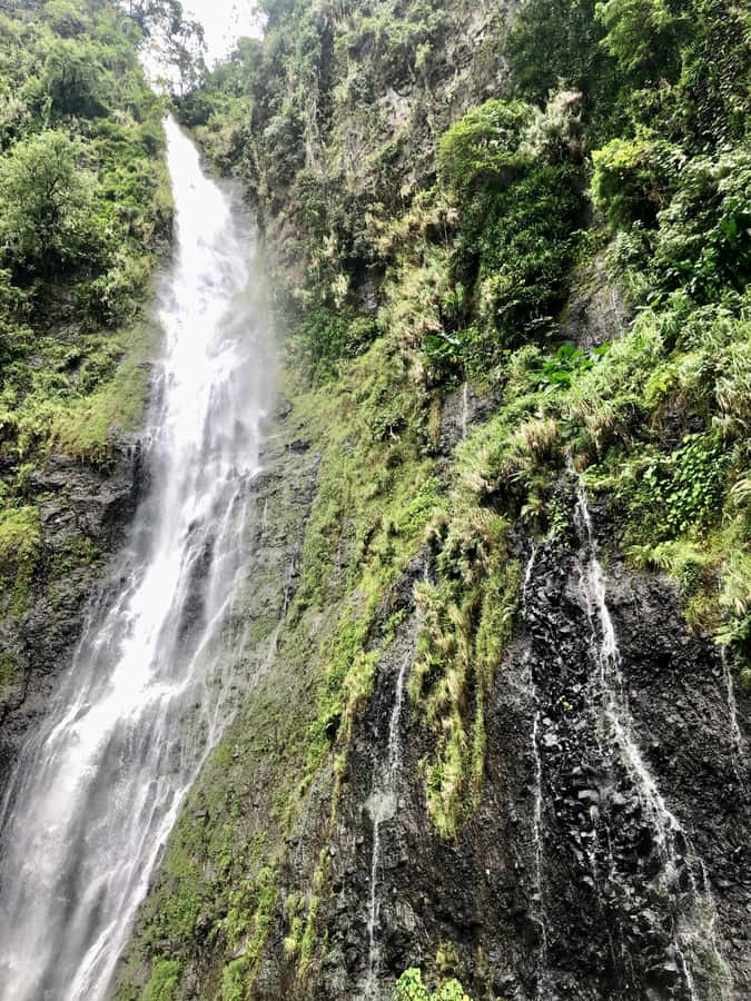 Tahiti: East or West coast tour (Half Day) - Who should book this half-day tour?
