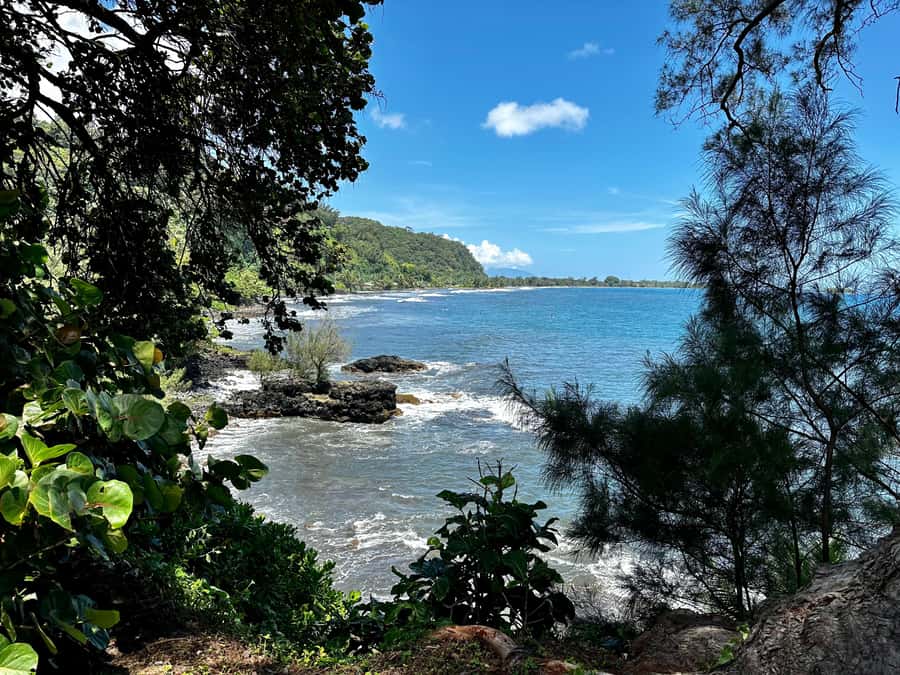 Tahiti: East or West coast tour (Half Day) - East coast: cliffs, waterfalls, and Pointe Vénus