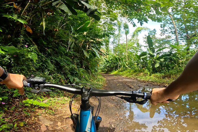 Tahiti excursion adventure circuit MTB MTB E-Bike private valley - The first basin and black-sand beach