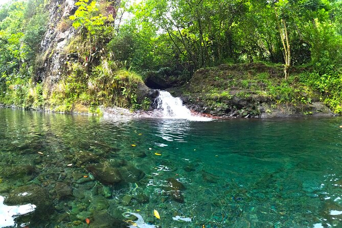 Tahiti excursion adventure circuit MTB MTB E-Bike private valley - How much value is in the $285.44 price?