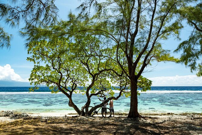 Tahiti Fautaua Valley and Big Waterfall Private Hiking Tour - Price and what the $550 group rate means