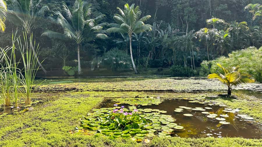 Tahiti: Full Day island tour with private jet flight (Cessna, Piper) - Seeing both east and west coasts in one day