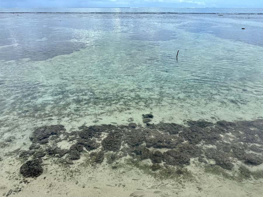 Tahiti: Full Day island tour with private jet flight (Cessna, Piper) - What the private format is worth