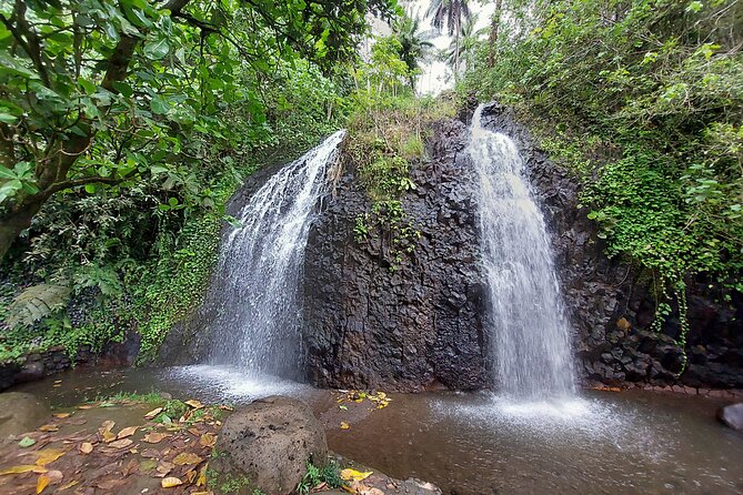 Tahiti Full Day Private Coastal Tour - Waterfalls at Faaone and Faarumai