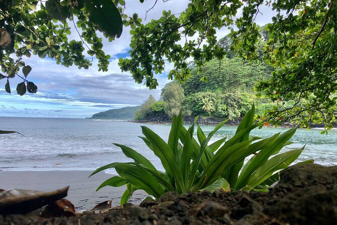 Tahiti: Full Day Tour of the Island - Arahoho Blowhole and the power of the coast