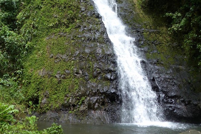 Tahiti: Full Day Tour of the Island - Maraa Grotto and the quiet Water Gardens of Vaipahi