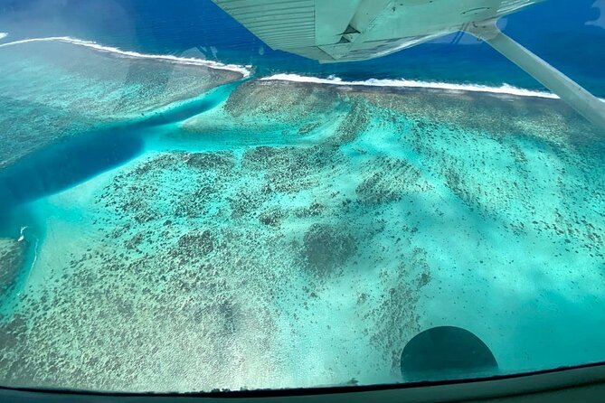 Tahiti: Full Day Tour with Private Flight EN Cessna (Moorea & Tahiti) - The Water Gardens of Vaipahi