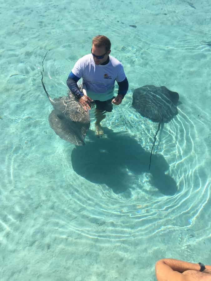 Tahiti island: 4 hours Snorkeling Tour - What this four-hour Tahiti outing is really like