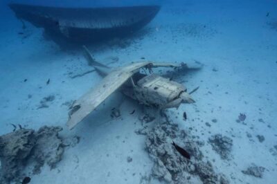 Tahiti island: 4 hours Snorkeling Tour