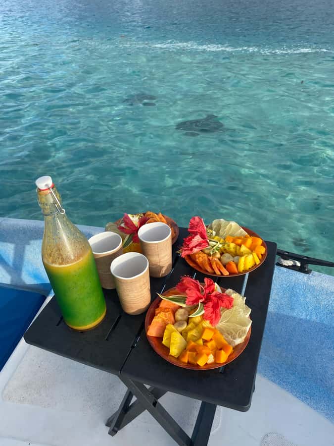 Tahiti island: 5 hours Snorkeling Picnic - Key points to know before booking