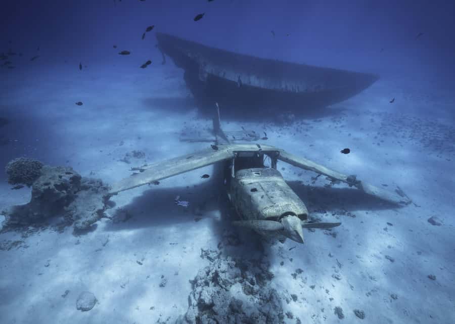 Tahiti island: 5 hours Snorkeling Picnic - Who should book this Tahiti experience?