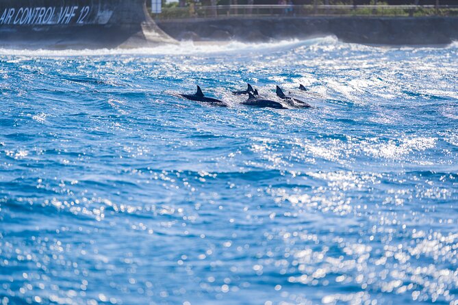 Tahiti Lagoon Snorkeling and Lunch Boat Tour (6 pax max) - Papa Whiskey and Tahiti’s clearest blue water