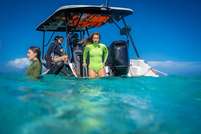 Tahiti Lagoon Snorkeling and Lunch Boat Tour (6 pax max) - Sapinus and the underwater freshwater spring