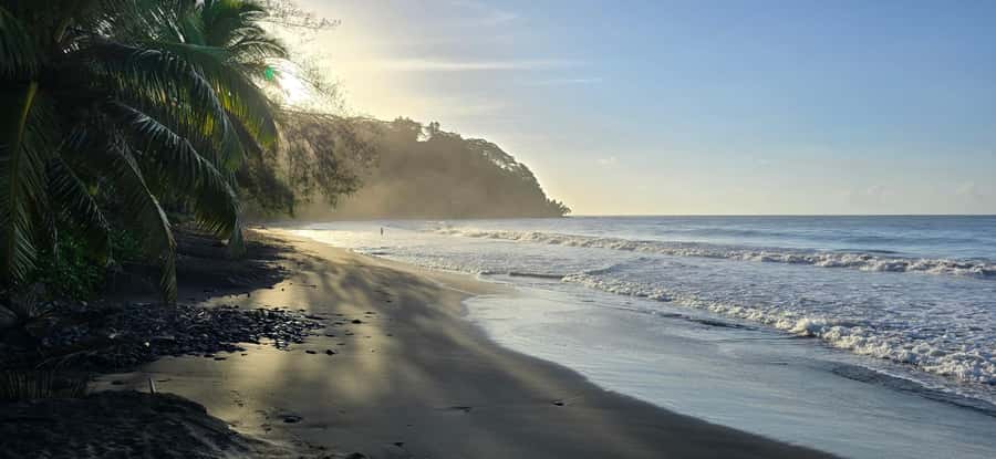 Tahiti: Northeast Coast Waterfalls&Viewpoints Half Day Tour - Why the northeast coast is worth your morning