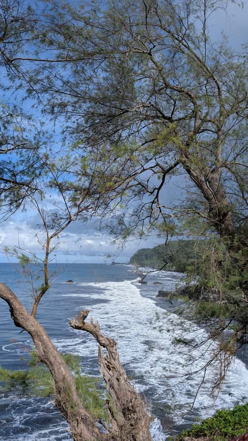 Tahiti: Northeast Coast Waterfalls&Viewpoints Half Day Tour - Motu Anapa, Pointe Tapahi, and Tahiti’s surf culture