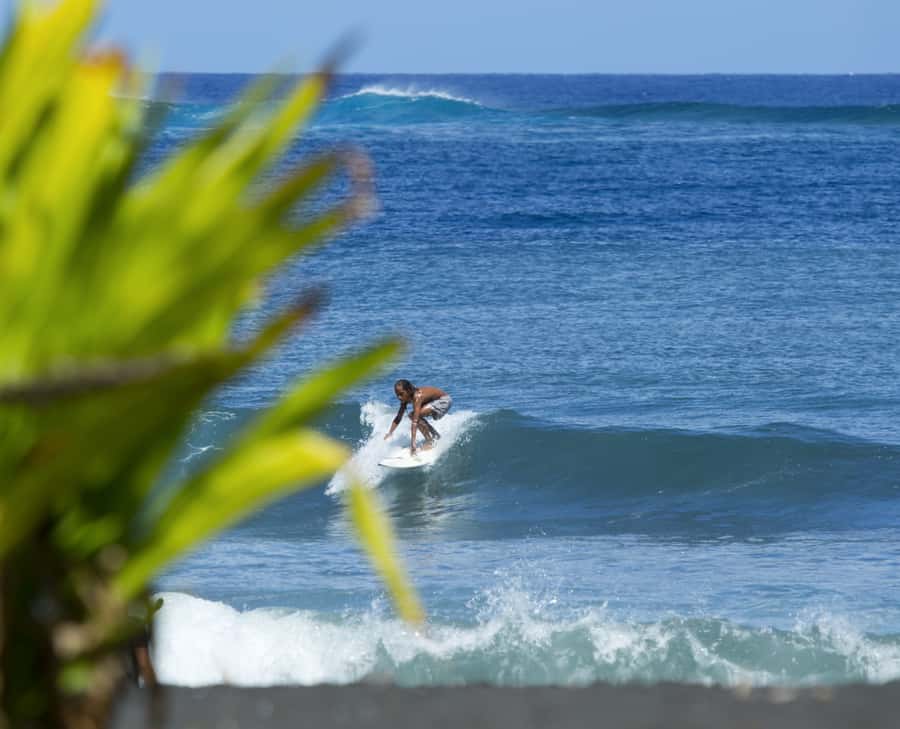 Tahiti: Private Half Day Culture and Nature Highlights Tour - The coastal drive between mountains and lagoon