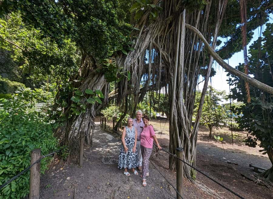 Tahiti Private Half Day Tour. Nature, history and culture - Point Venus and Matavai Bay: history by the water