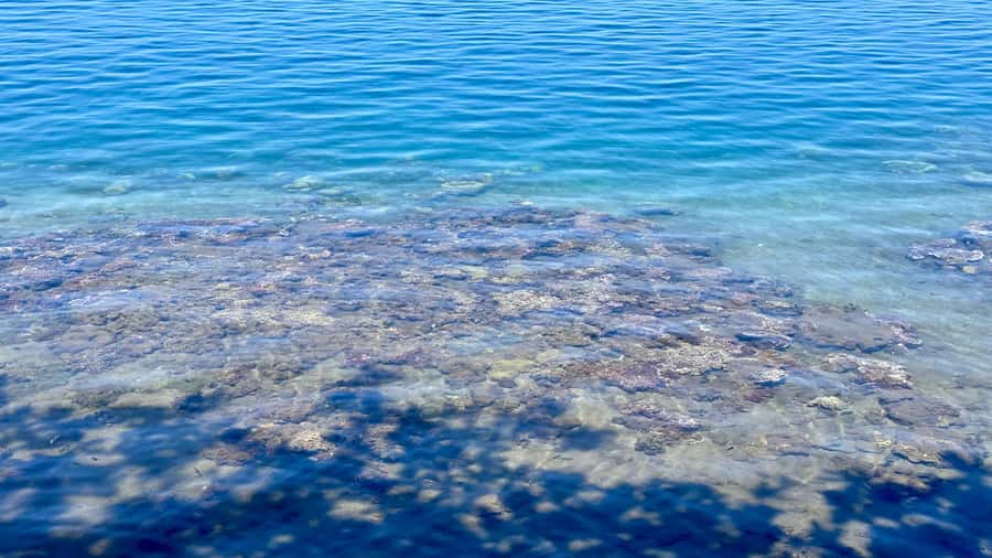 Tahiti : Tour de l’île Côte Est et Côte Ouest (Full Day) - Key points to know before booking