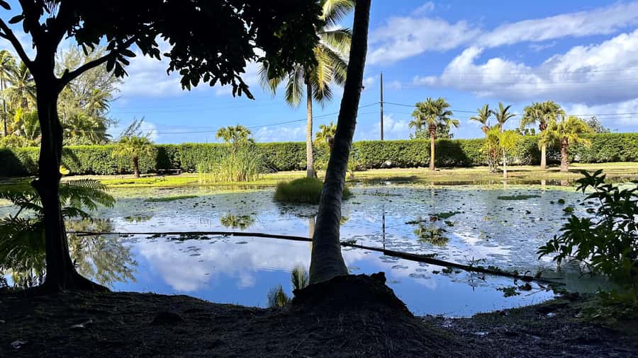 Tahiti : Tour de l’île Côte Est et Côte Ouest (Full Day) - The Tahiti Museum is worth considering for context