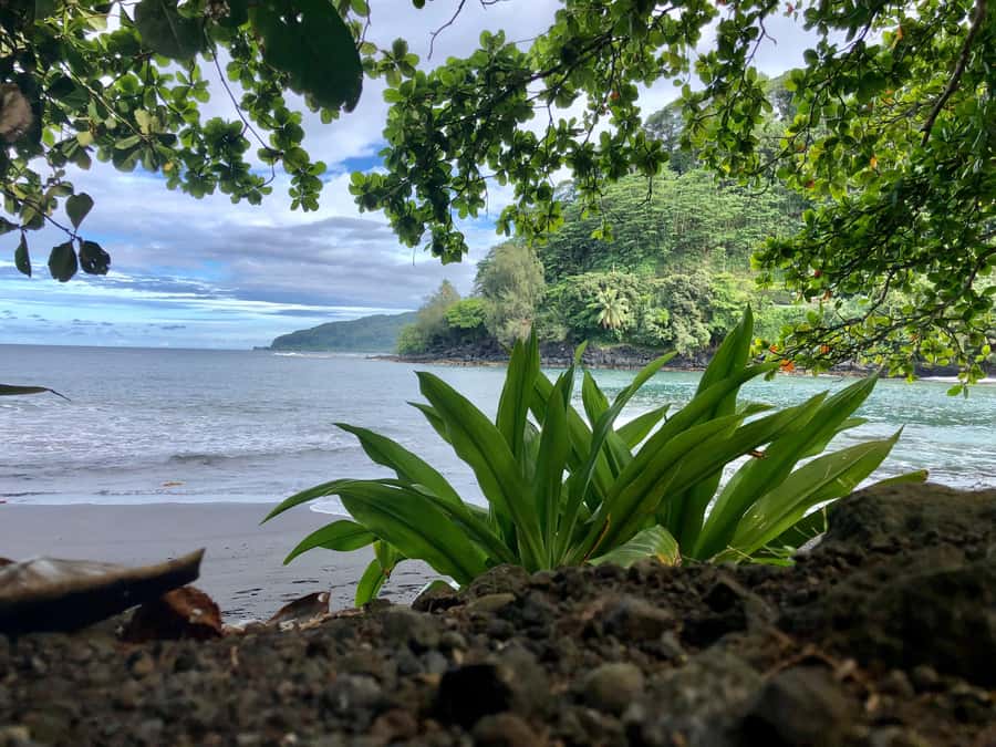 Tahiti : Tour de l’île Côte Est et Côte Ouest (Full Day) - Pointe Vénus brings history and open sea