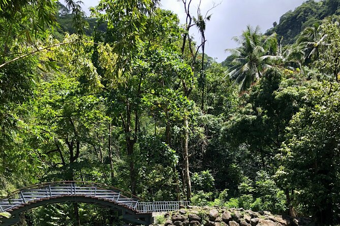 Tahiti: Tour of the East or West Coast (Half Day) - West Coast: caves, beaches, and island culture