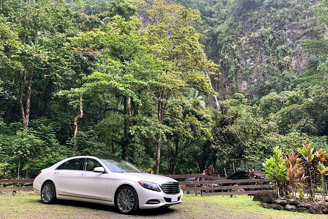 Tahiti: Tour of the East or West Coast (Half Day) - Maraa Grotto: a cool, green pause