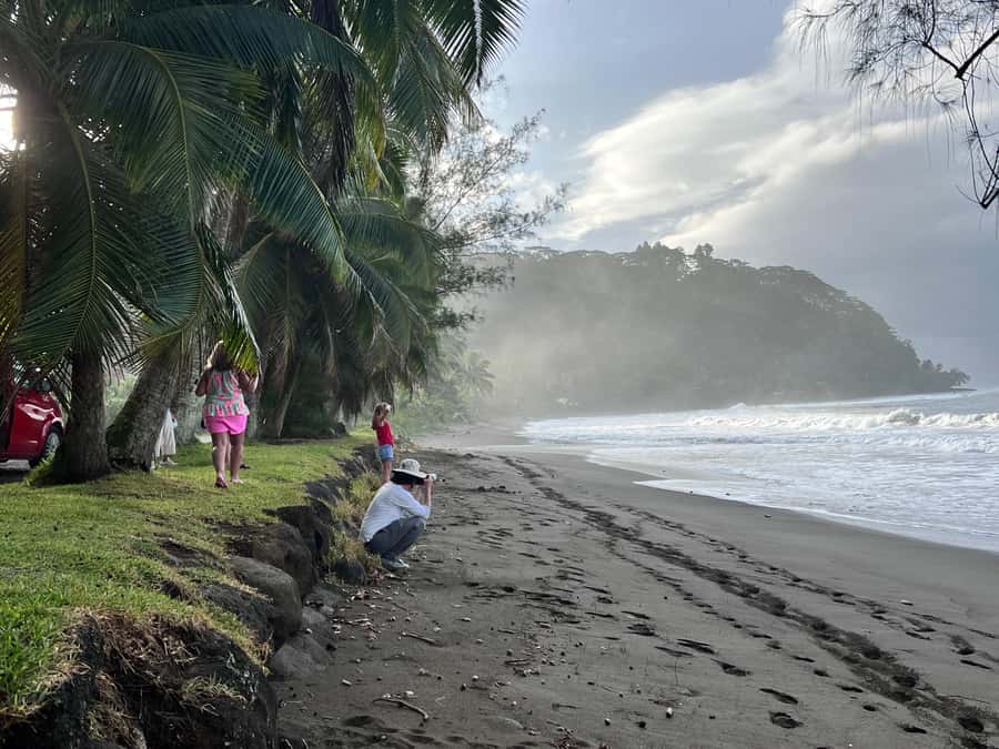 Tahiti: Unique East Coast Half Day Tour with Local Guide - The guides are the heart of the experience