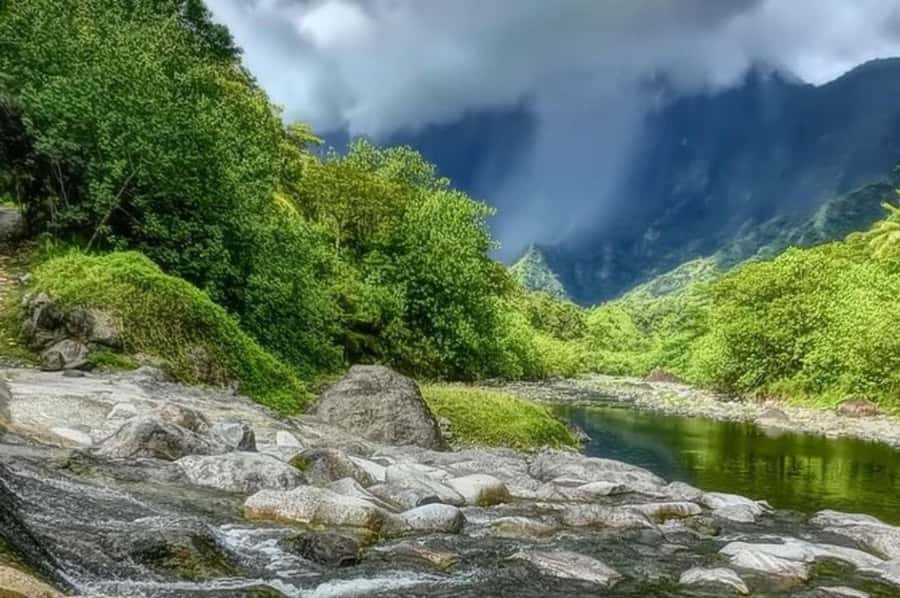 Tahiti: Unique East Coast Half Day Tour with Local Guide - The Arahoho Blowhole and black sand coast
