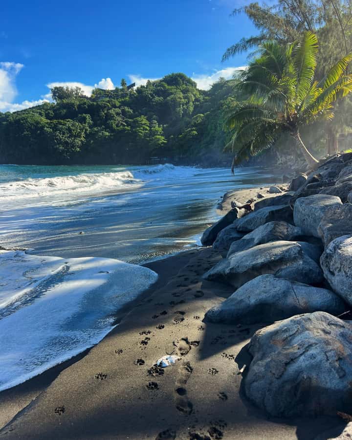 Tahiti: Unique East Coast Half Day Tour with Local Guide - Starting in Papeete: government, murals, and the market
