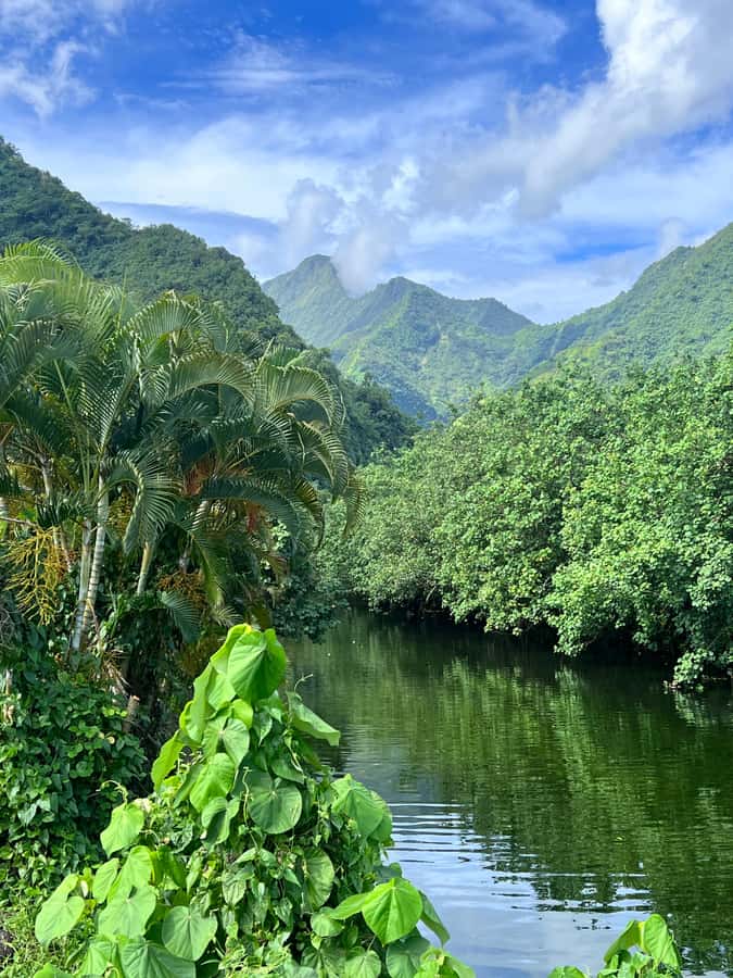 Tahiti: Unique Full Day West Coast, Combo Tour to Teahupoo - Lunch beside the lagoon