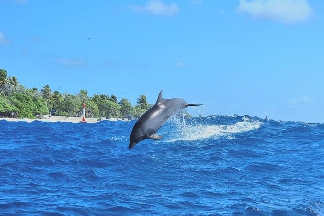 The Blue Lagoon by private boat - Why this private Rangiroa day works so well