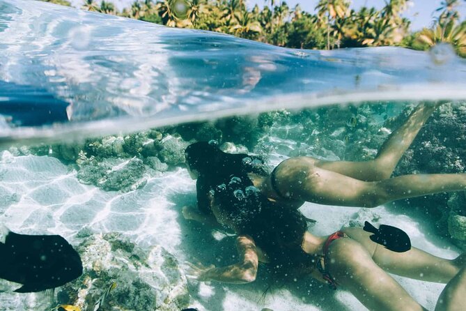 The Vanilla tour of Taha'a in a comfortable outrigger canoe - Snorkeling through the Jardin de Corail