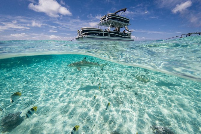 Toa Boat Bora Bora Private Lagoon tour On Ambassador Boat - What is included for the $650 price