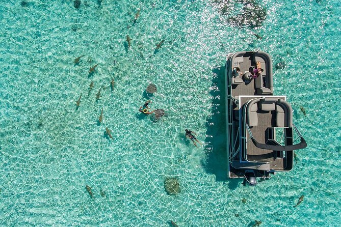 Toa Boat Bora Bora Private Lagoon tour On Ambassador Boat - Who will enjoy this private lagoon tour most