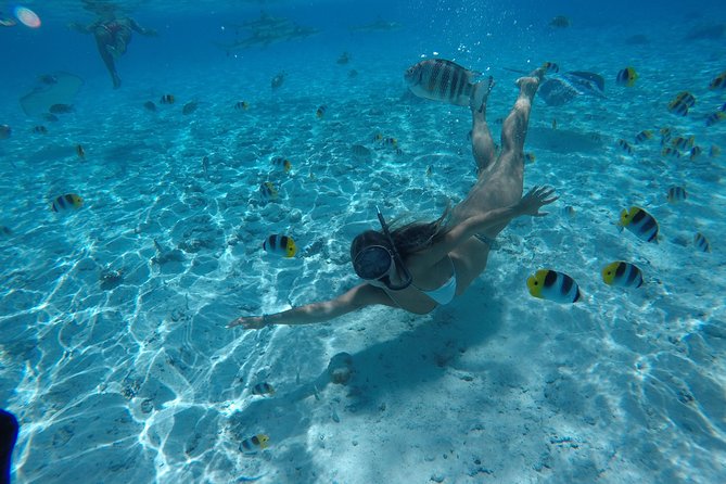Toa Boat Bora Bora Private Lagoon tour On Ambassador Boat - Should you book Toa Boat Bora Bora?