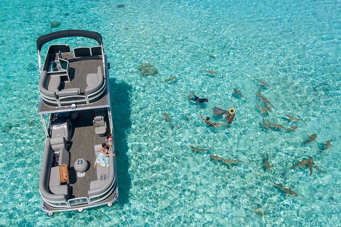 Toa Boat Bora Bora Private Lagoon tour On Ambassador Boat - Finding rays and sharks away from the crowds