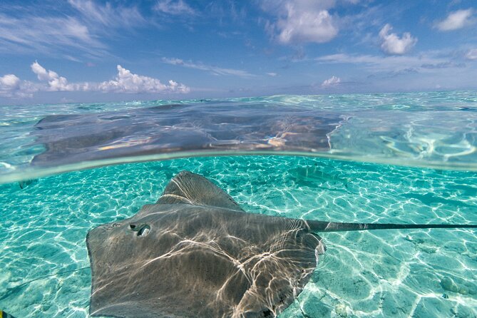 Toa Boat Bora Bora Private Lagoon tour On Majestic Pontoon Boat - Who will enjoy this Bora Bora boat tour?