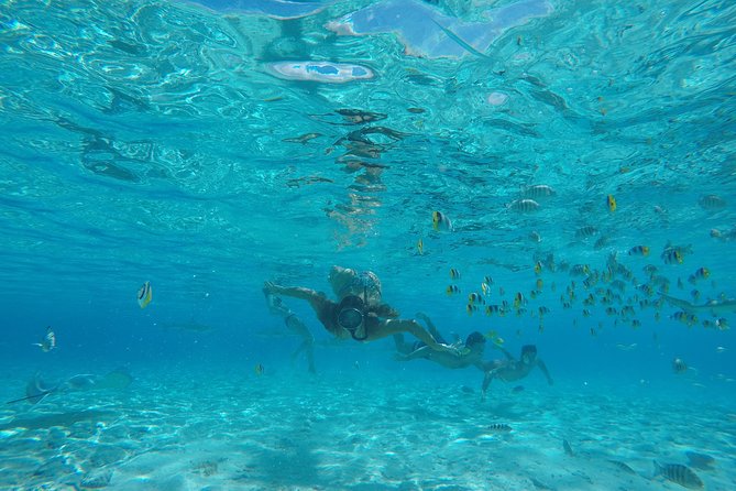 Toa Boat Bora Bora Private Lagoon tour with Lunch on Entertainer Bar Boat - What the $795 price really buys you