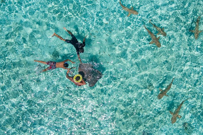 Toa Boat Bora Bora Private Lagoon tour with Lunch On Majestic Pontoon Boat - Unlimited drinks, music, and the three-seat buoy