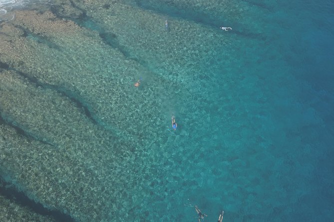 Tohora Bora Bora Snorkeling Lagoon Tours - Is the $175.78 price fair?