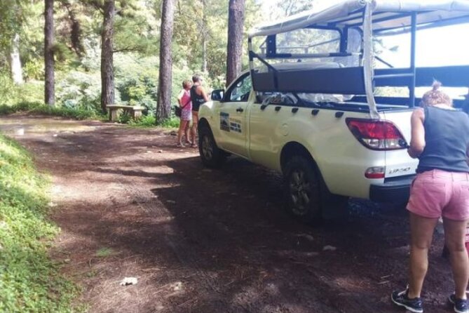 TOUR Safari 4X4 - What the guide can add to the scenery