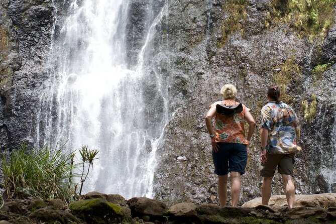 Tour Tahiti in Private - Maraa Grotto: a short walk to cool volcanic shade