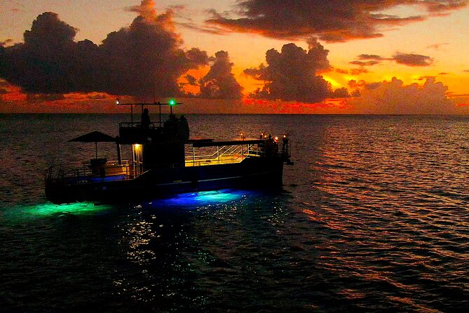 Underwater excursion to Bora Bora - Key points to know before booking