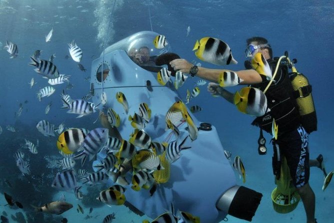 Underwater Scooter - What you may see from the scooter